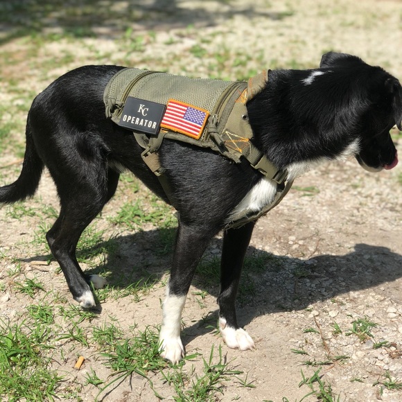 Tactical service dog vest - Picture 4 of 7